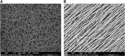 Glycosaminoglycans: From Vascular Physiology to Tissue Engineering Applications